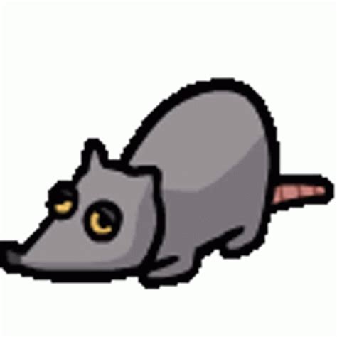 rat xxx|Videos Tagged with rat .